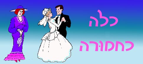  כלה כחמורה 