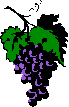 grape