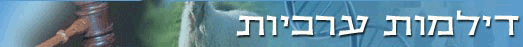 כללי