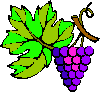 grapes